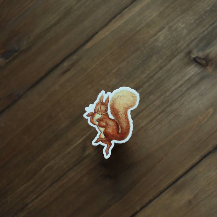 Novel Book Store - Wholesale Sticker - Sticker - Squirrel Nutkin