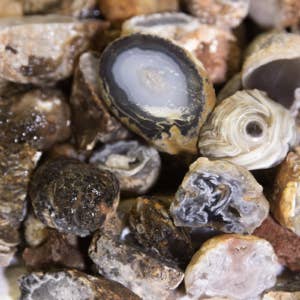 Cold River Mining - Wholesale Spiritual Stone/Crystal - MINI NATURAL GEODES 5LBS3