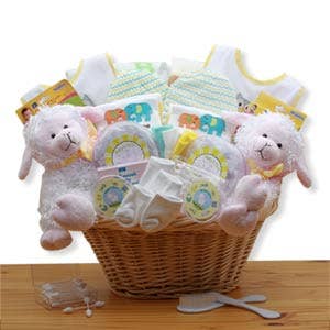 Double Delight Twins New Baby Gift Basket - Pink/Blue for wholesale by Gift Basket Drop Shipping