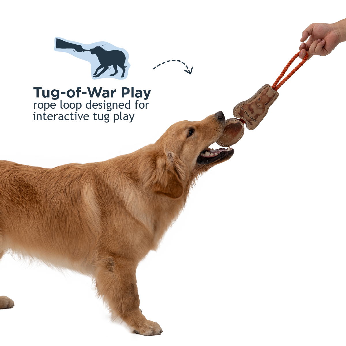Tall Tails - Wholesale Pet Rope Toy - Dog - Natural Leather Jointed Squirrel Tug Dog Toy2