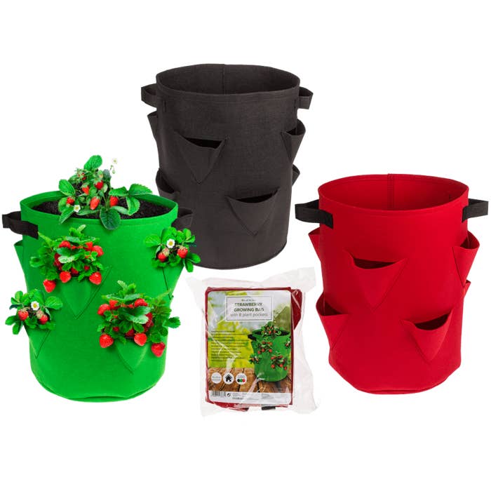 Out of the blue KG - Wholesale Plant Pot - Strawberry Growing bag, with 8 plant pockets,