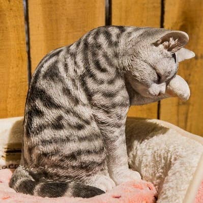 Grey Tabby Cat American Shorthair Washing for wholesale by Hi-Line Gift Ltd.