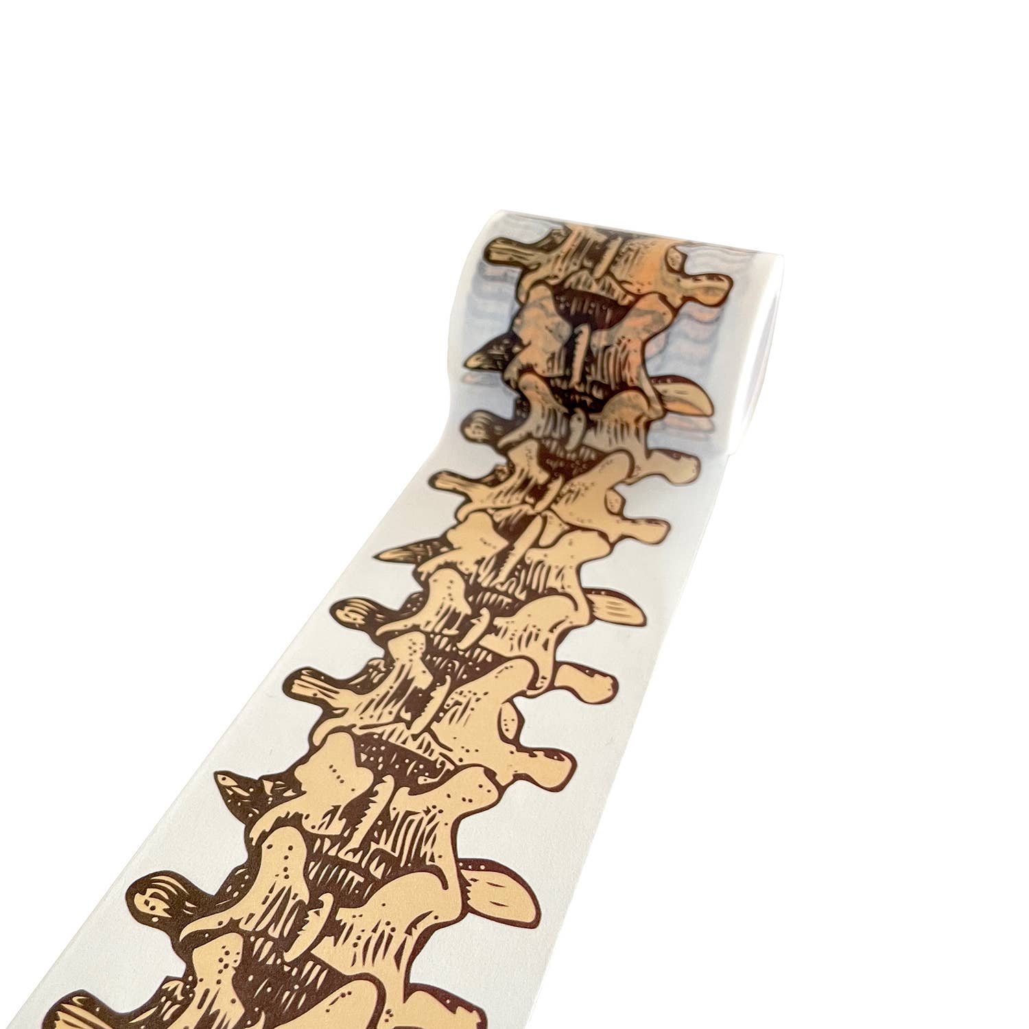 Copernicus Toys – wholesale Washi tape – This Is Spinal Tape |
Skeleton Anatomy Washi Tape
1