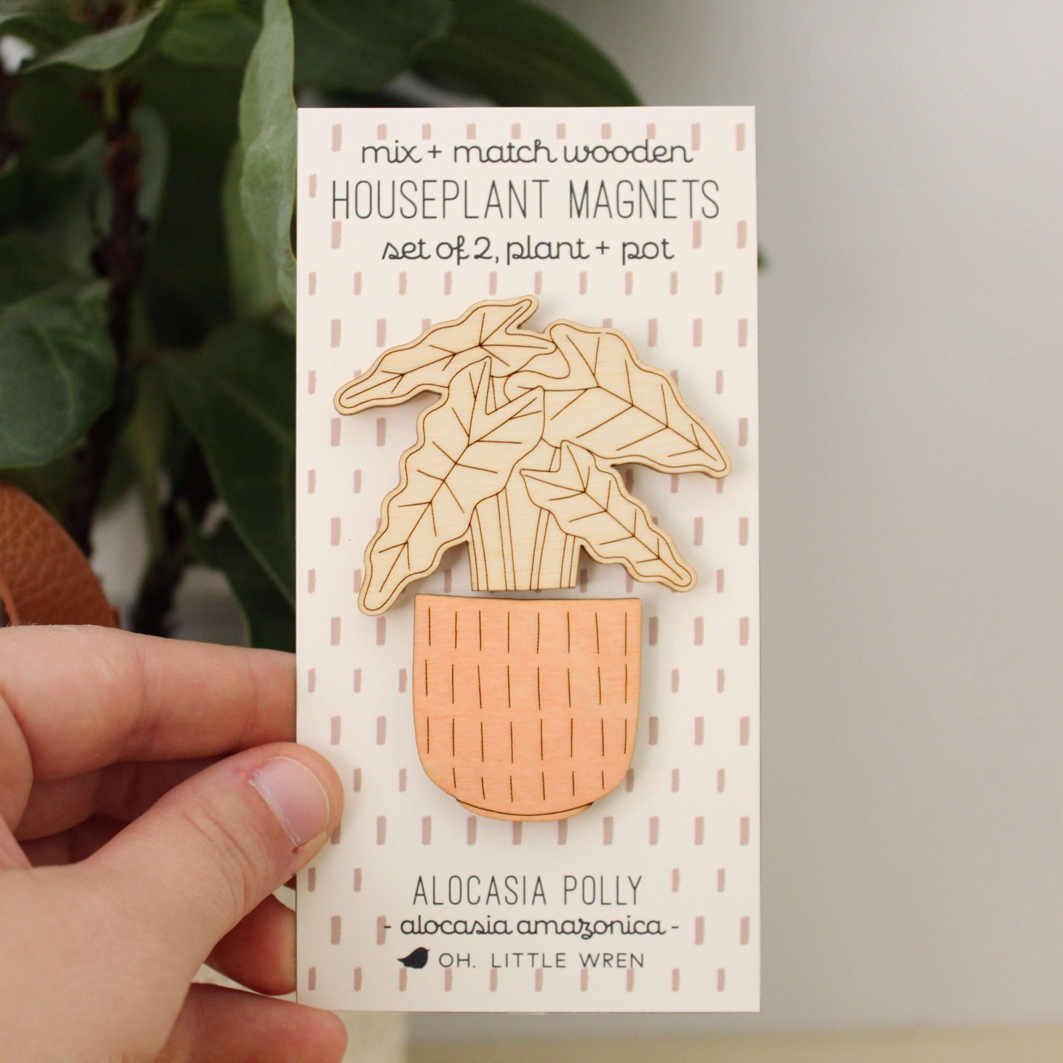 oh, little wren - Wholesale Magnet - Wood House Plant Magnets | Alocasia Polly | Plant Lover Gift1