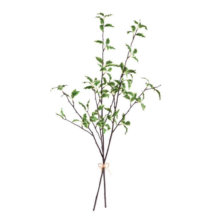 Variegated Leaf Branches for wholesale by Napa Home & Garden