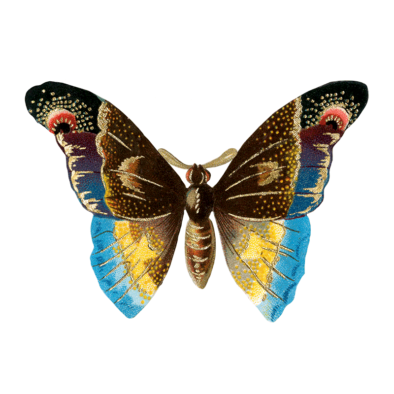 Laughing Elephant – Großhandel Aufkleber – Butterfly Box — Stickerbox für den täglichen Gebrauch5