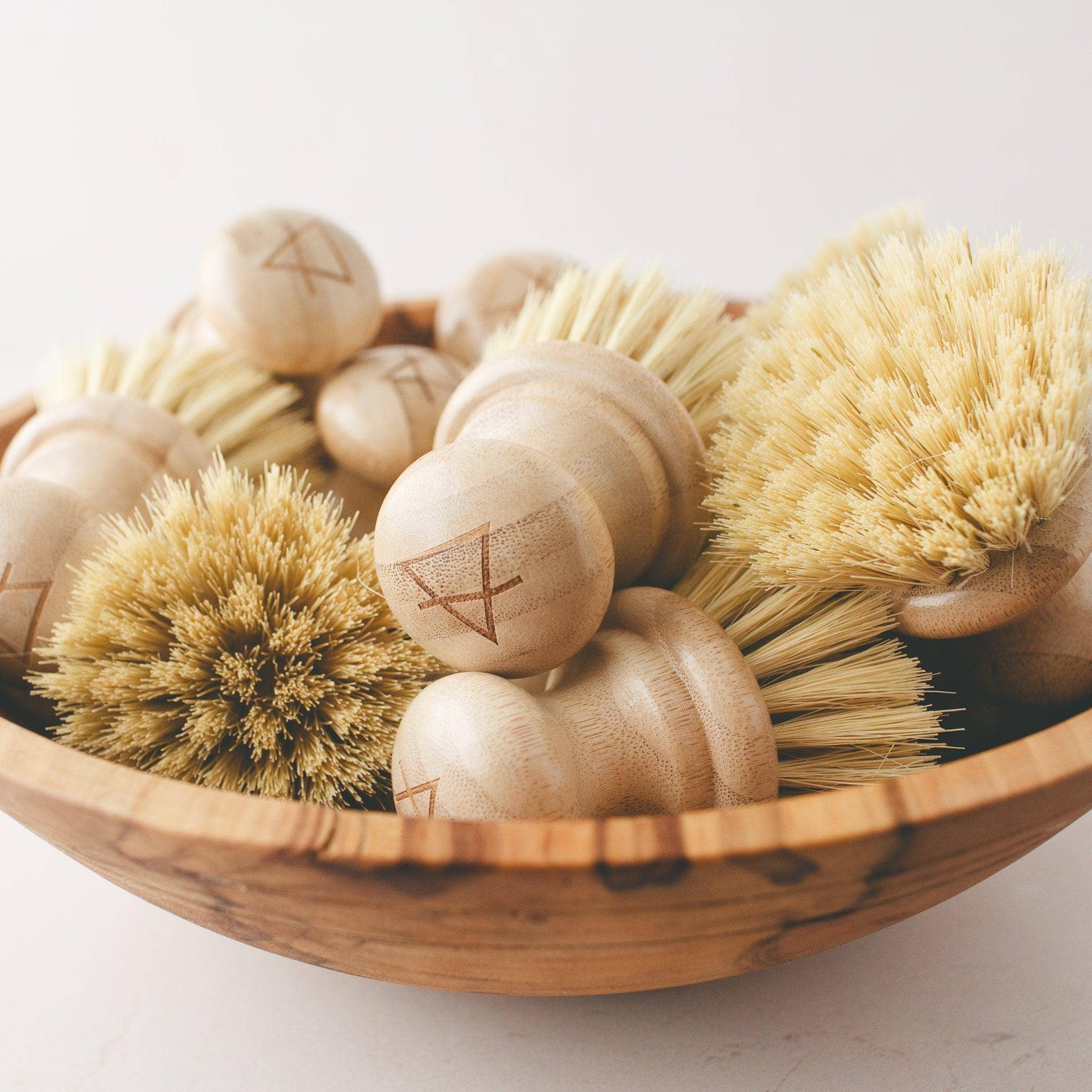 Simple Alchemy Co - Wholesale Cleaning Brush - Compostable Dish Brush5