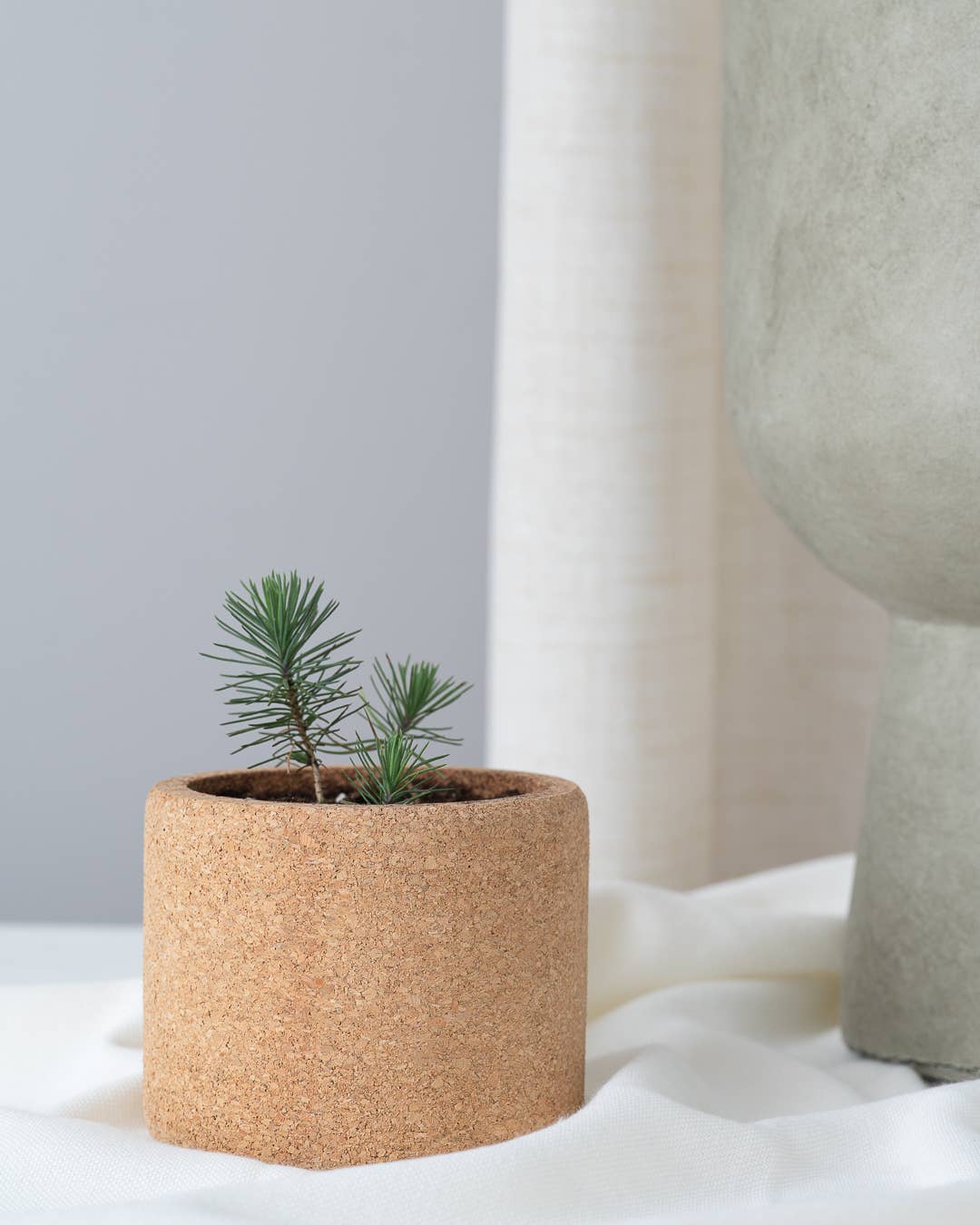 Life in a bag – wholesale Christmas decoration – Grow Cork Christmas Tree1