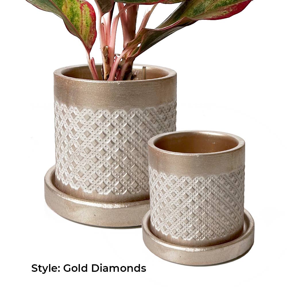 Chive - Wholesale Plant Pot - Balter Succulent Containers Cactus Pot And Saucer9