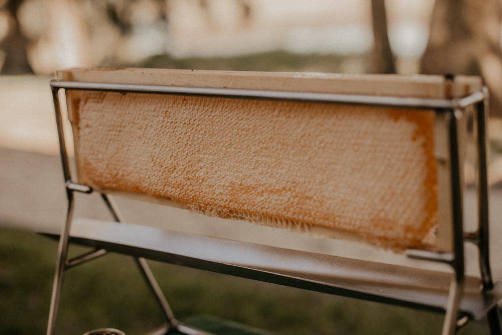 Pure Southern Honey - Wholesale Honey - Whole Wooden Honeycomb Frames (3)3