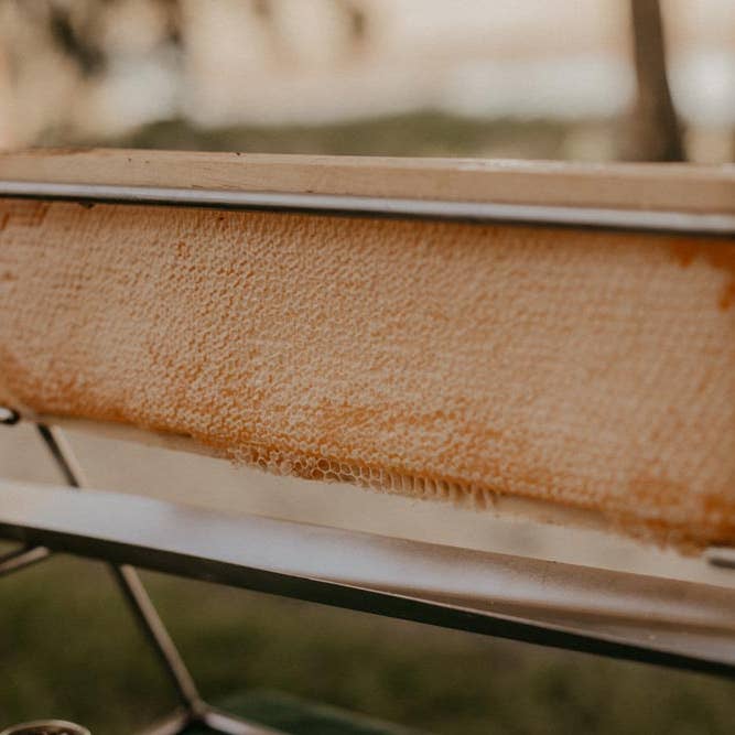 Pure Southern Honey - Wholesale Honey - Whole Wooden Honeycomb Frames (3)3