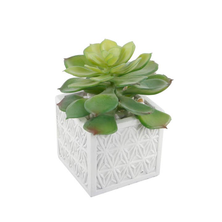 Flora Bunda Inc - Wholesale Artificial plant - Artificial Succulent in Pattern Ceramic Pot3