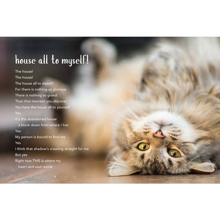 Simon & Schuster - Wholesale Pets - All Cats Are Introverts by Francesco  Marciuliano3