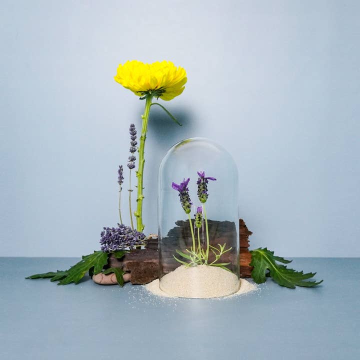 Lavendel+Ylang voor wholesale door Lark Artisan Supply