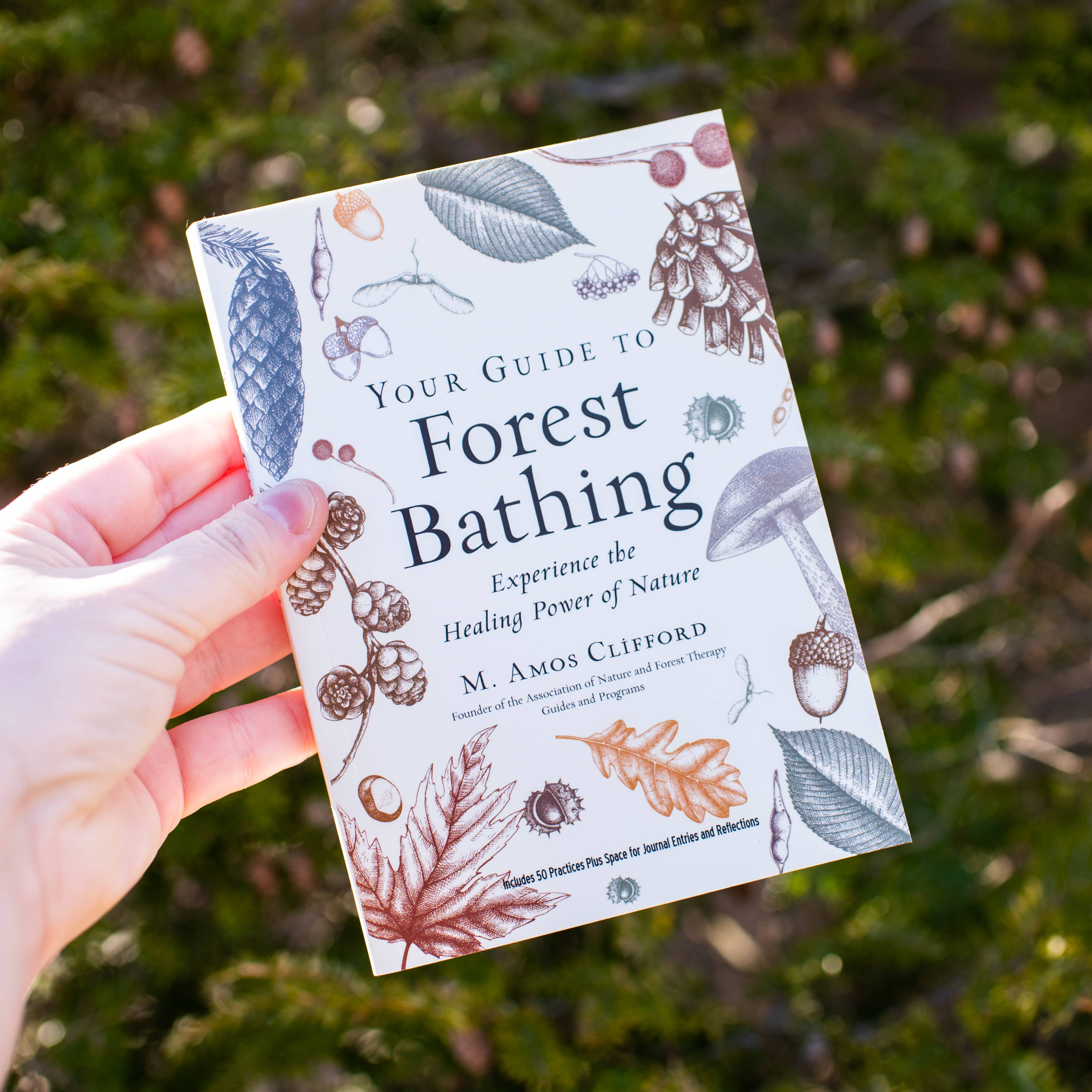 Red Wheel/Weiser LLC - Wholesale Nature & Outdoors Book - Your Guide to Forest Bathing: Expanded Edition6