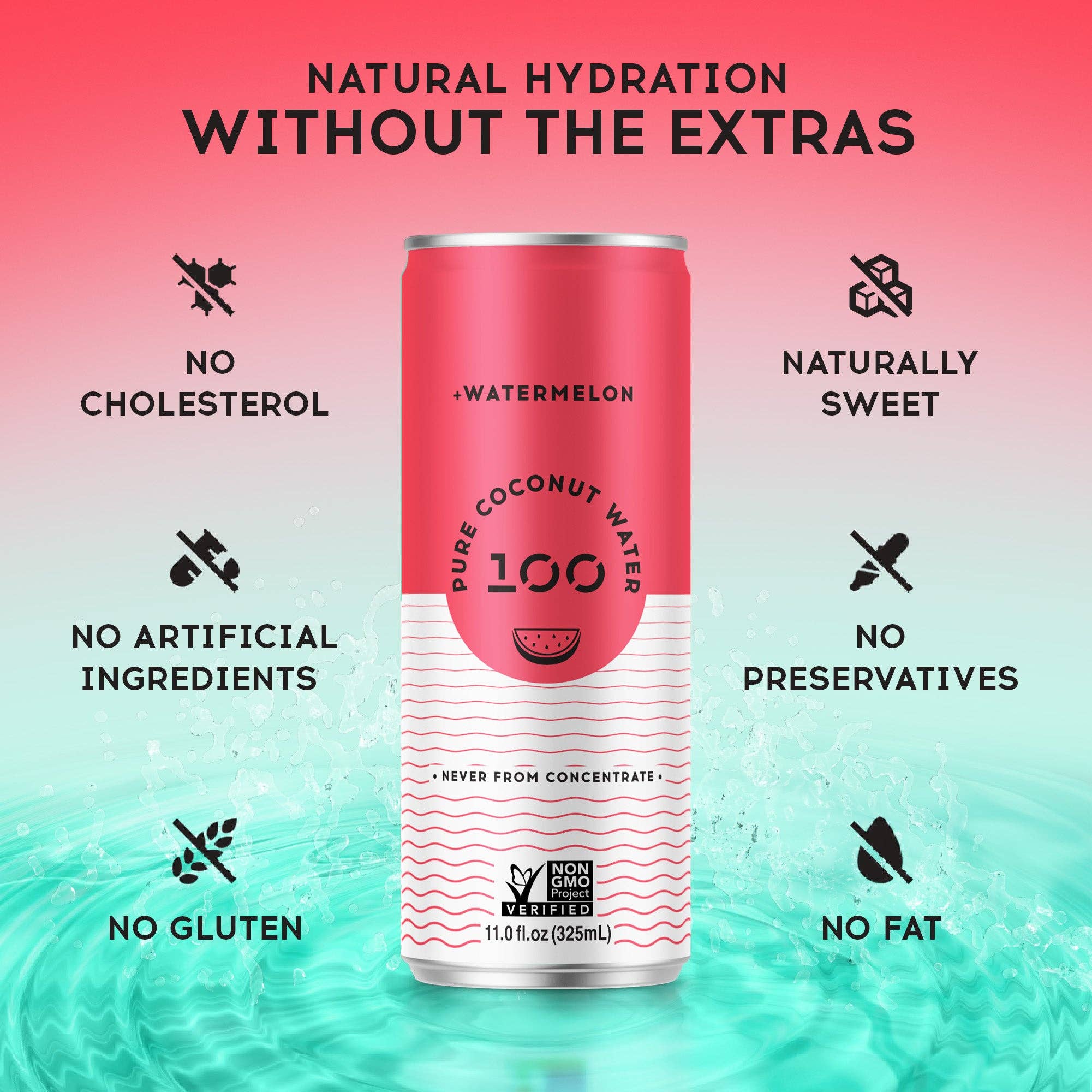 100 Coconuts - Wholesale Flavored/Infused Water (Non-Carbonated) - PURE COCONUT WATER + WATERMELON - 12 Pack6