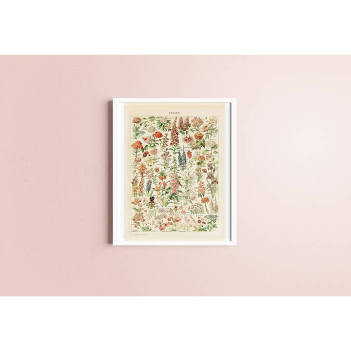 Rock Paper Scissors Wall Art - Wholesale Poster - Fleurs Pours Tous by Adolphe Millot (French Flower Poster I)3
