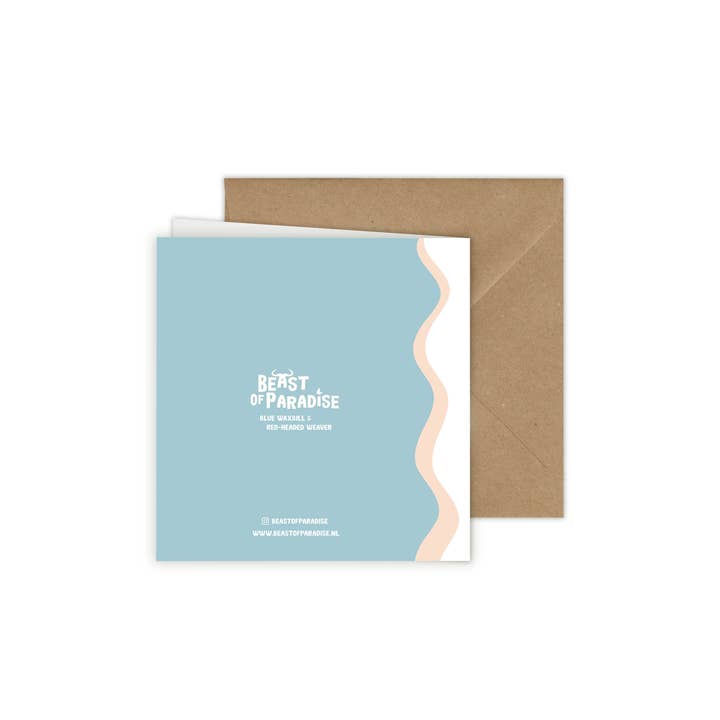 Beast of Paradise - Vendita all'ingrosso Biglietti di auguri - Biglietti di Auguri con Uccelli, Set di 10 Biglietti, Biglietti di Auguri con Animali5