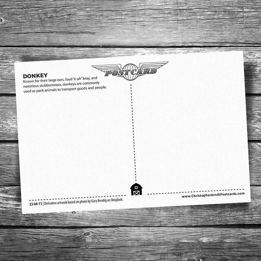 Christopher Arndt Postcard Co. - Wholesale Postcard - Donkey Postcard1