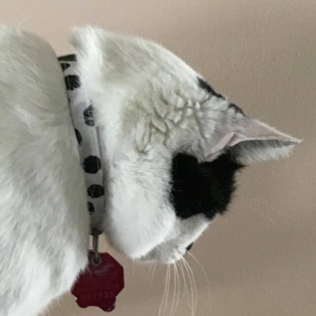 Very Vintage Designs - Wholesale Pet collar – Cat/dog - Moo - Cow Organic Cotton Pet (Dog & Cat) Collar11