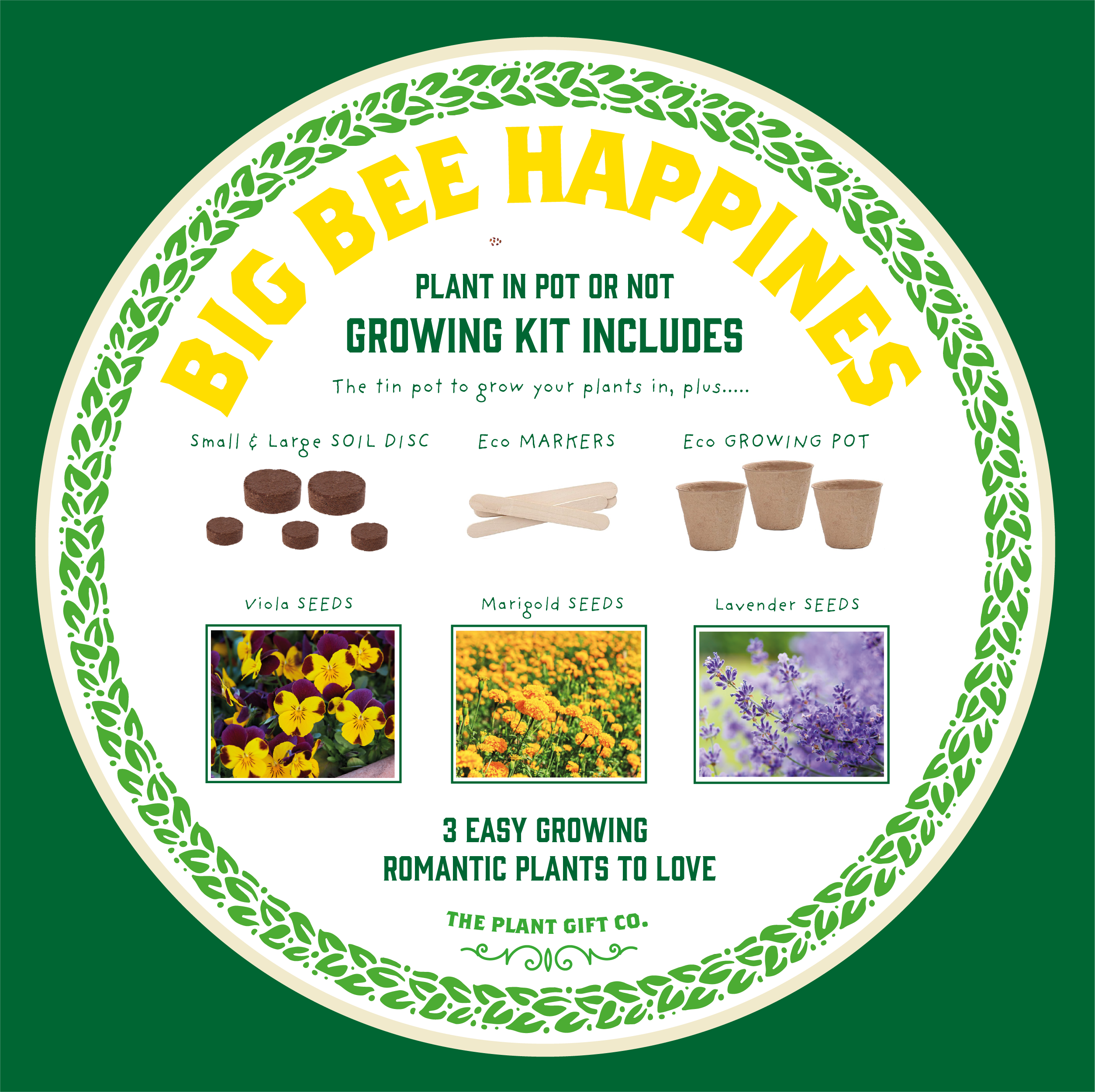The Plant Gift Co. – wholesale Plant seeds – Big Bee Happiness Eco Plant Grow Kit, Gardening Gift7