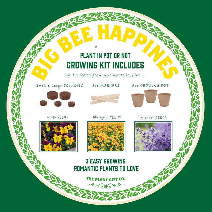 The Plant Gift Co. – wholesale Plant seeds – Big Bee Happiness Eco Plant Grow Kit, Gardening Gift7