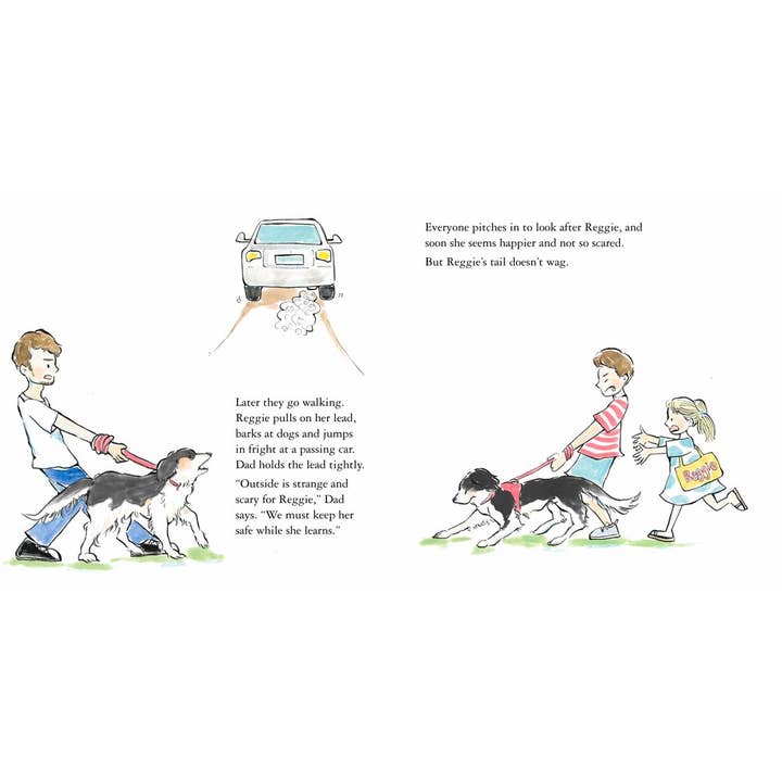 Independent Publishers Group - Wholesale Pets - Reggie the Rescue Dog5