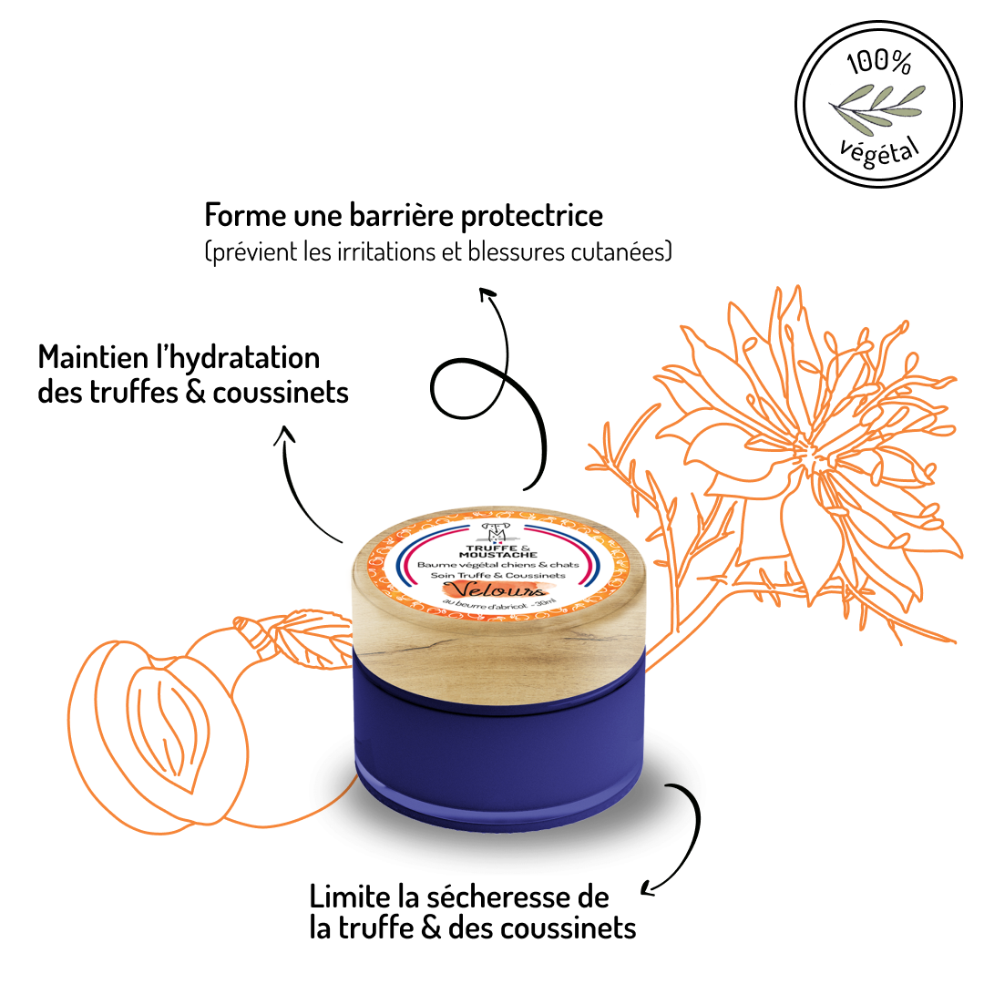 Truffe & Moustache - Wholesale Pet Balm - Dog - Truffle Balm & Pads for dogs & cats, “Velours”2