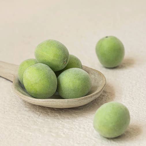 Best Beauty Group - Wholesale Facial Toner - BEAUTY OF JOSEON Green Plum Refreshing Toner AHA + BHA4