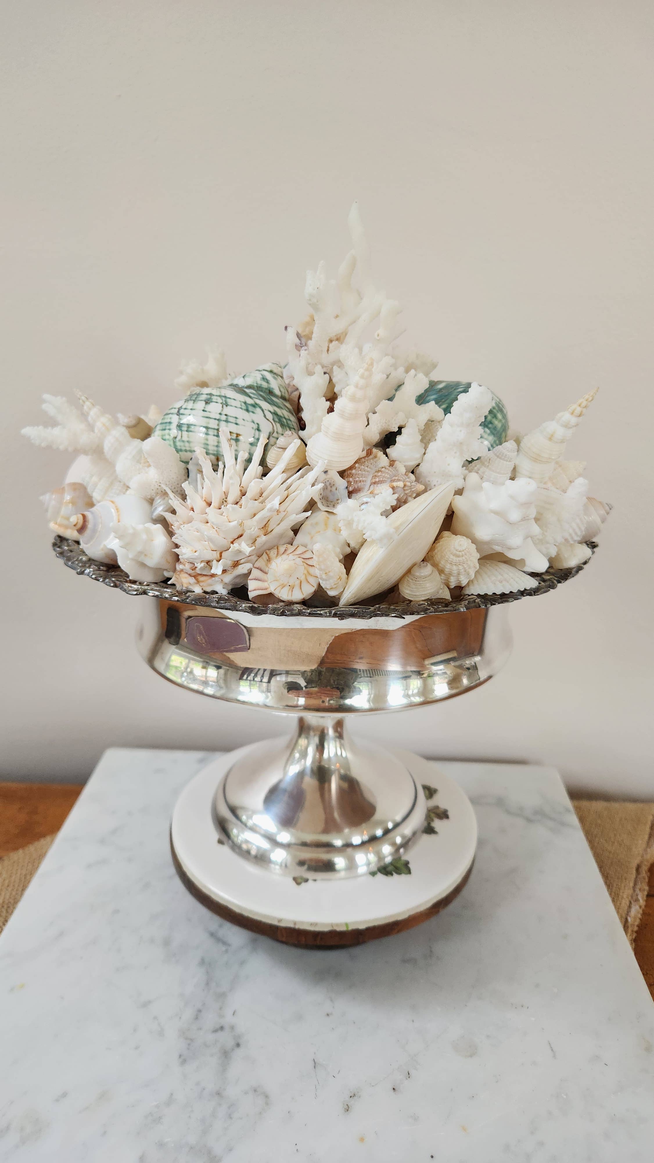 White Tulip Boutique - Wholesale Decorative Tabletop Object - Large Seashell n Coral Centerpiece, Table Top Decor, Topiary1
