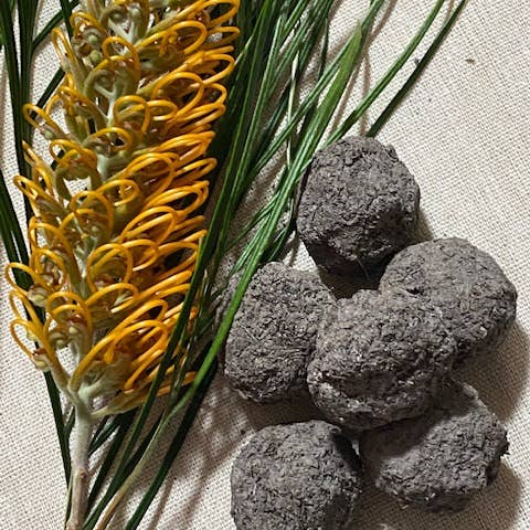 Aussie Seed Bombs - Wholesale Plant Seeds - Australian Native Wildflowers Mix 6pc