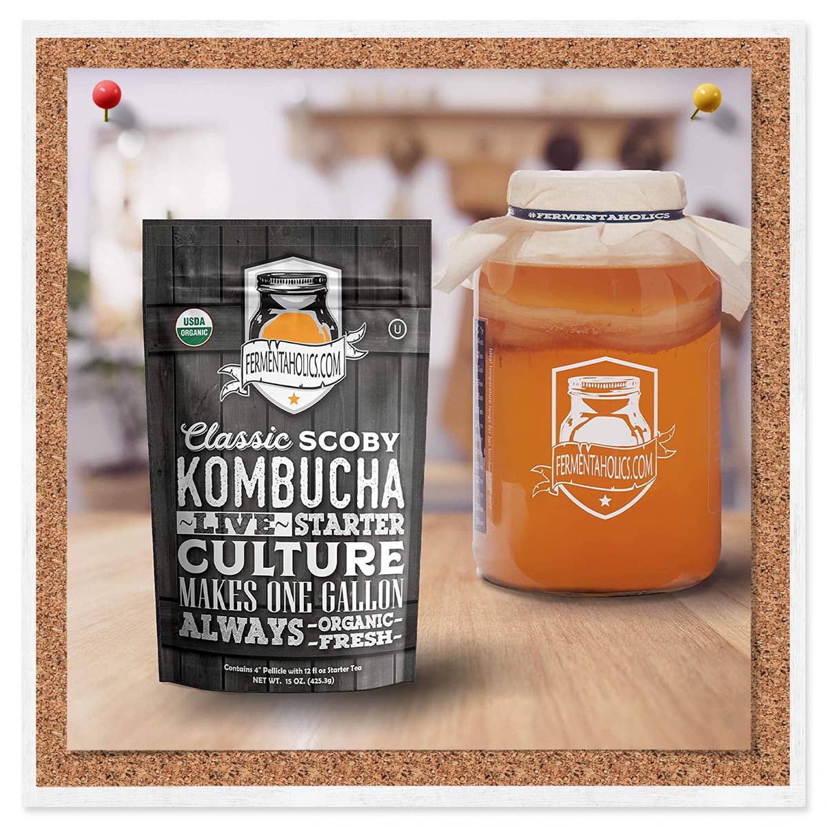 Fermentaholics - Wholesale Kombucha - Classic Kombucha Scoby2