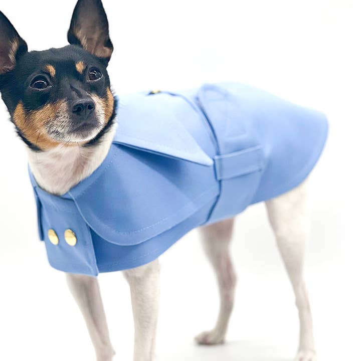 DCNY Belted Trench Coat - Periwinkle for wholesale by DoggieCoutureNY