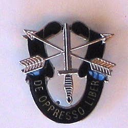 Goupille DOL des forces spéciales américaines avec 2 embrayages pour la vente par Military Patches & Pins