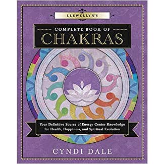 Microcosm Publishing & Distribution - Wholesale Book - Adult - Llewellyn's Complete Book of Chakras