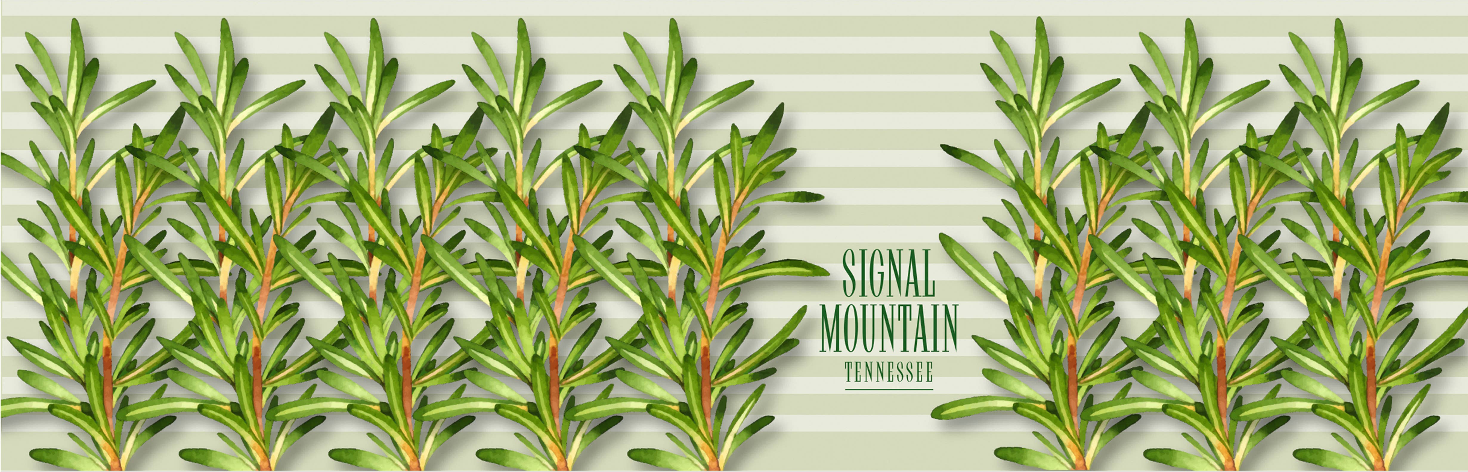 Aunt Sadie's Candles – wholesale Reseljus – Färskt rosmarin ljus2