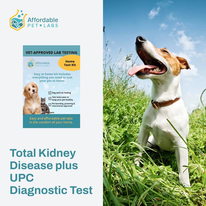 Easy Home Kit: Affordable Pet Labs Total Kidney Disease plus UPC Diagnostic Test For Dogs for wholesale by Affordable Pet Labs