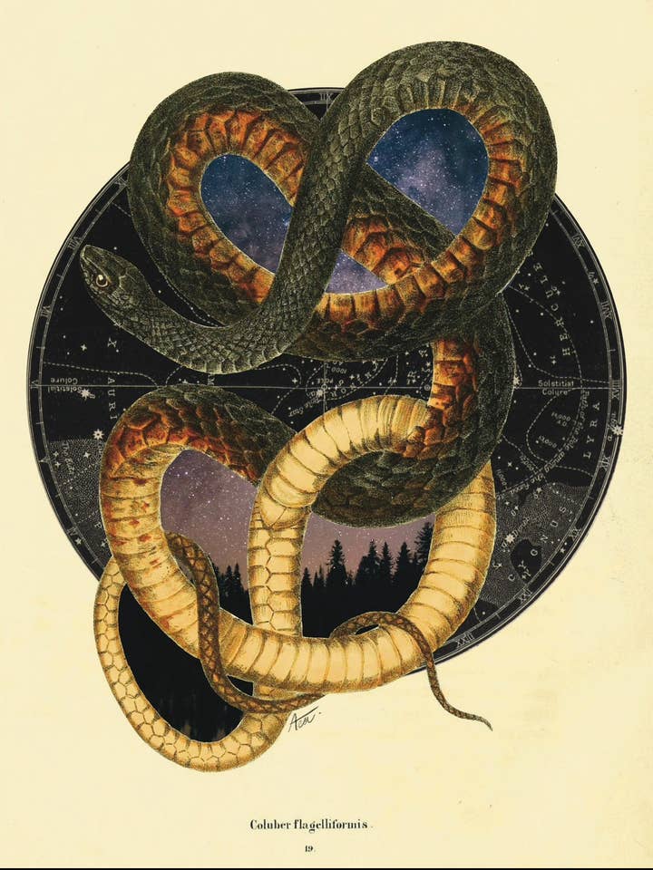 "Endlose Zeit" Kunstdruck | Collagekunst, Stimmungsvoll Himmlische Dark Academia, Kein KI für den Großhandel von Amy Teawalt Studio