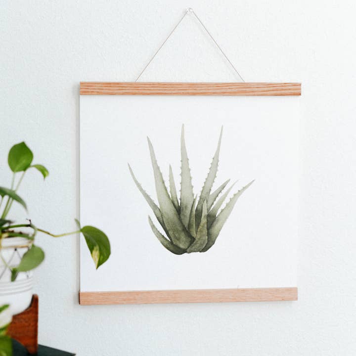 Aloe Vera Houseplant Art Print for wholesale by Come Alive Studio
