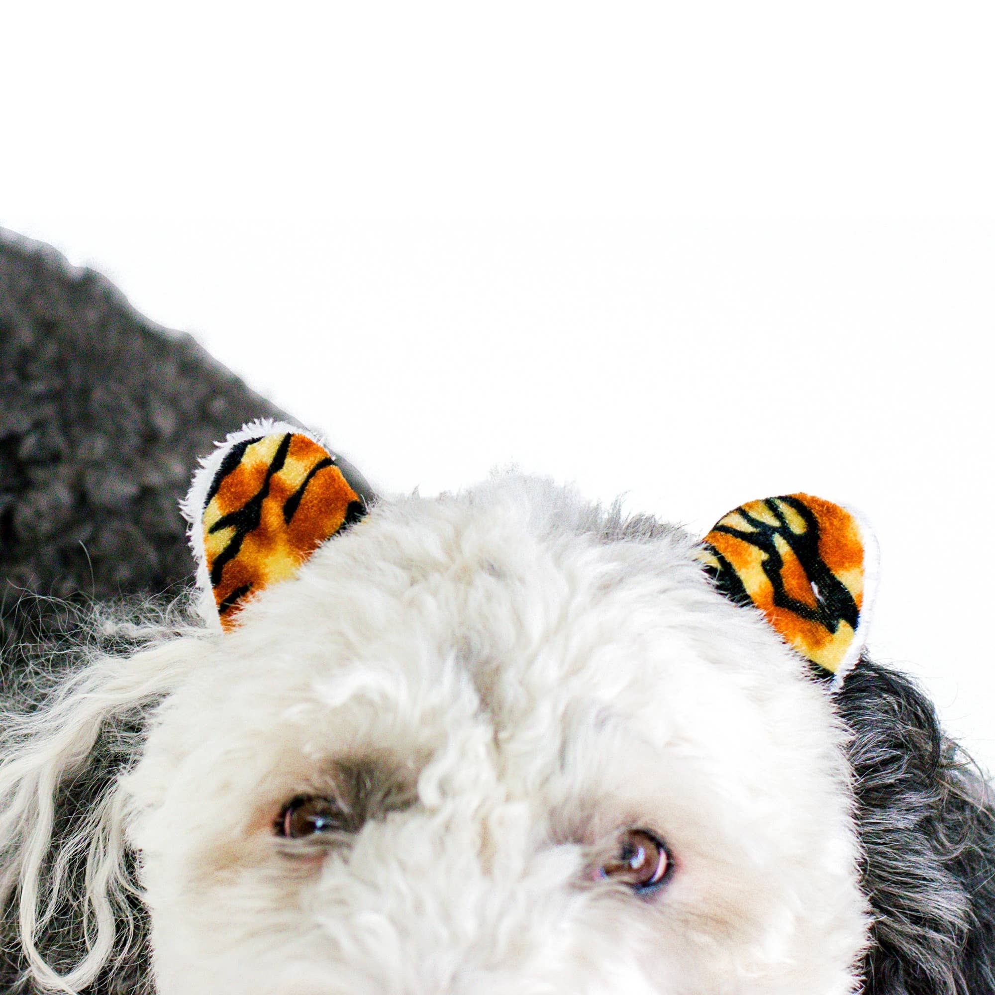 Midlee Designs - Wholesale Verkleedkleren voor huisdieren - Hond - Midlee Tiger hondenkostuum hoofdband (groot)8
