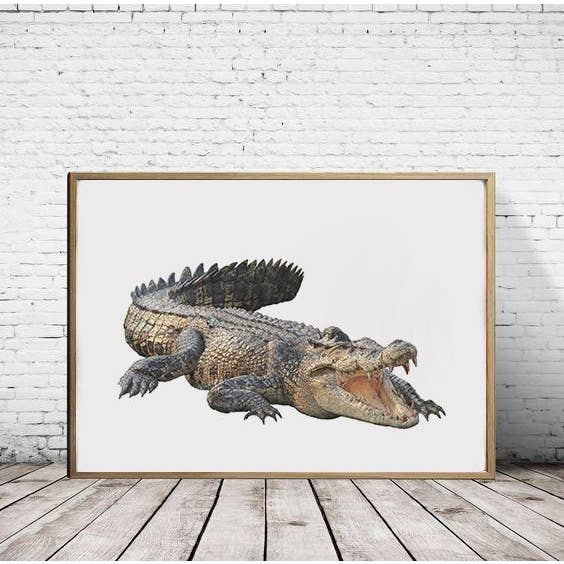 Saltwater crocodile - A2/A1 Print (landscape) for wholesale by Hidden Planet