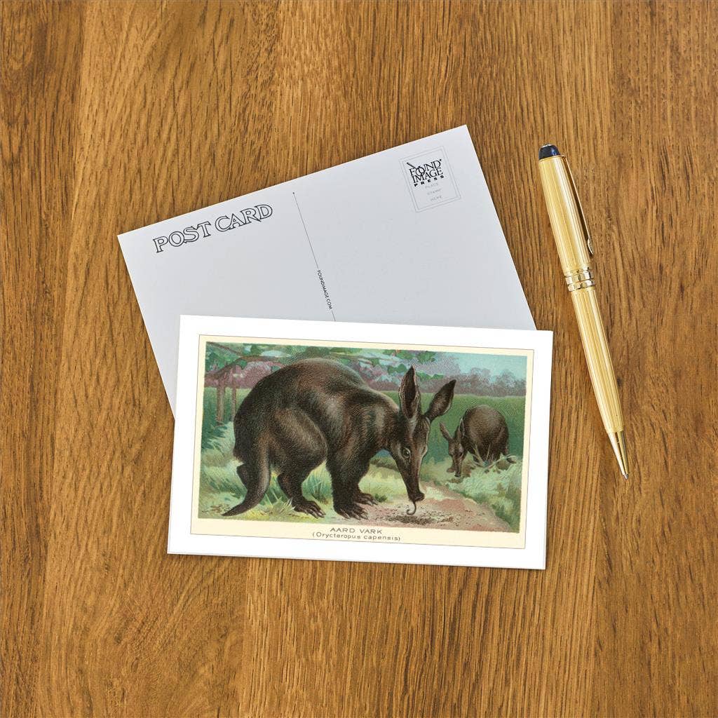 Found Image Press - Wholesale Postcard - Postcard AN-157 Aardvarks1