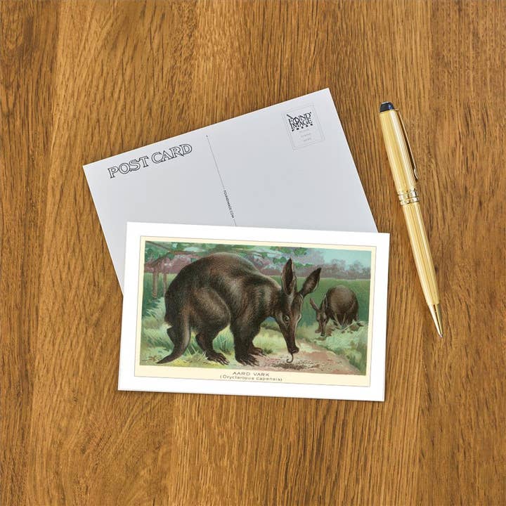 Found Image Press - Wholesale Postcard - Postcard AN-157 Aardvarks1