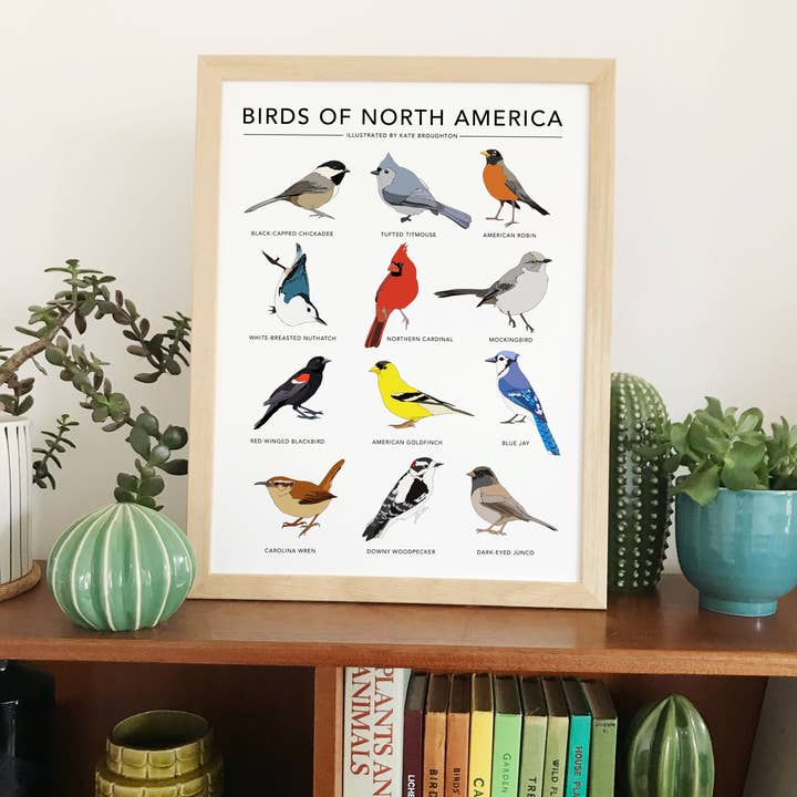 Kate Broughton – wholesale Art print – Birds of North America Print1