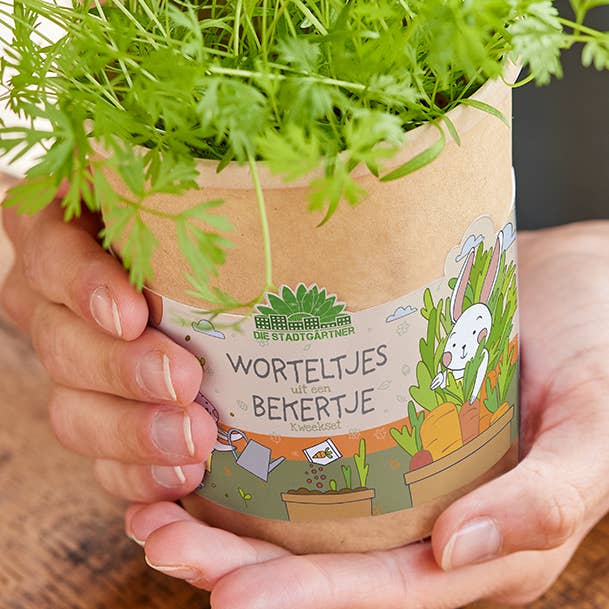 Carrots out of the cup (NL) for wholesale by TDJ Stadtgärtner GmbH