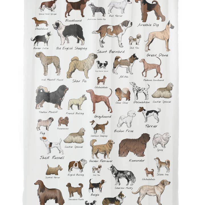 Really Nice Things - Wholesale Drape - Shower Curtain (Boardwalk)1