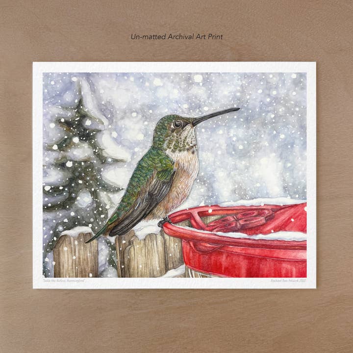 Rufous Hummingbird in Snow Art Print for wholesale by Rachael Bee Artwork