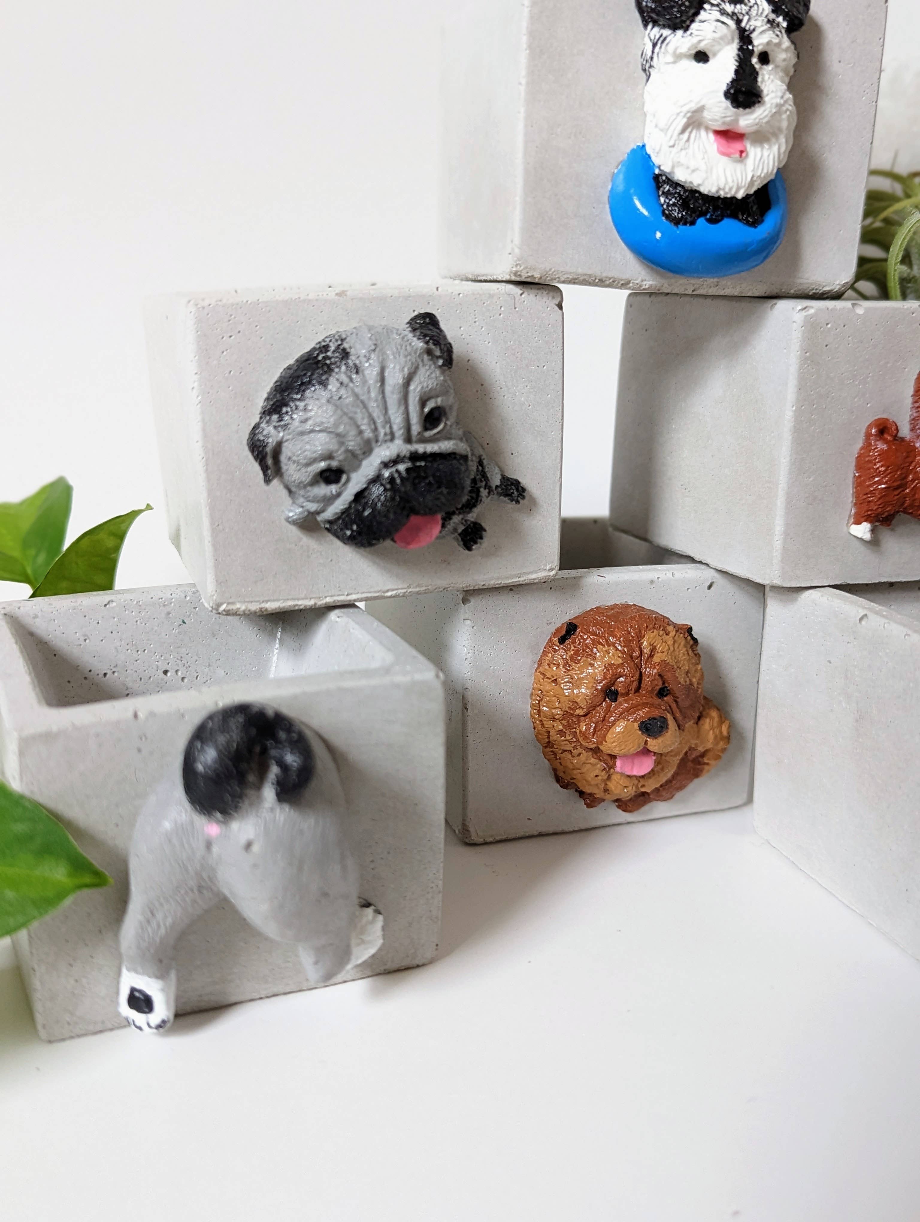 ForgottenProperty - Wholesale Plant pot - Doggo Mini Concrete Planter and Air Plant Holder5