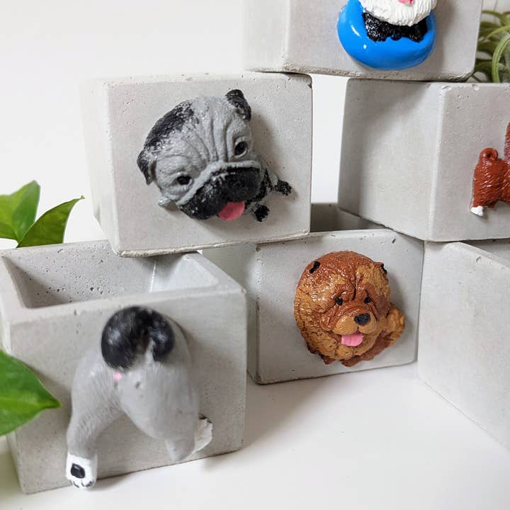 ForgottenProperty - Wholesale Plant pot - Doggo Mini Concrete Planter and Air Plant Holder5