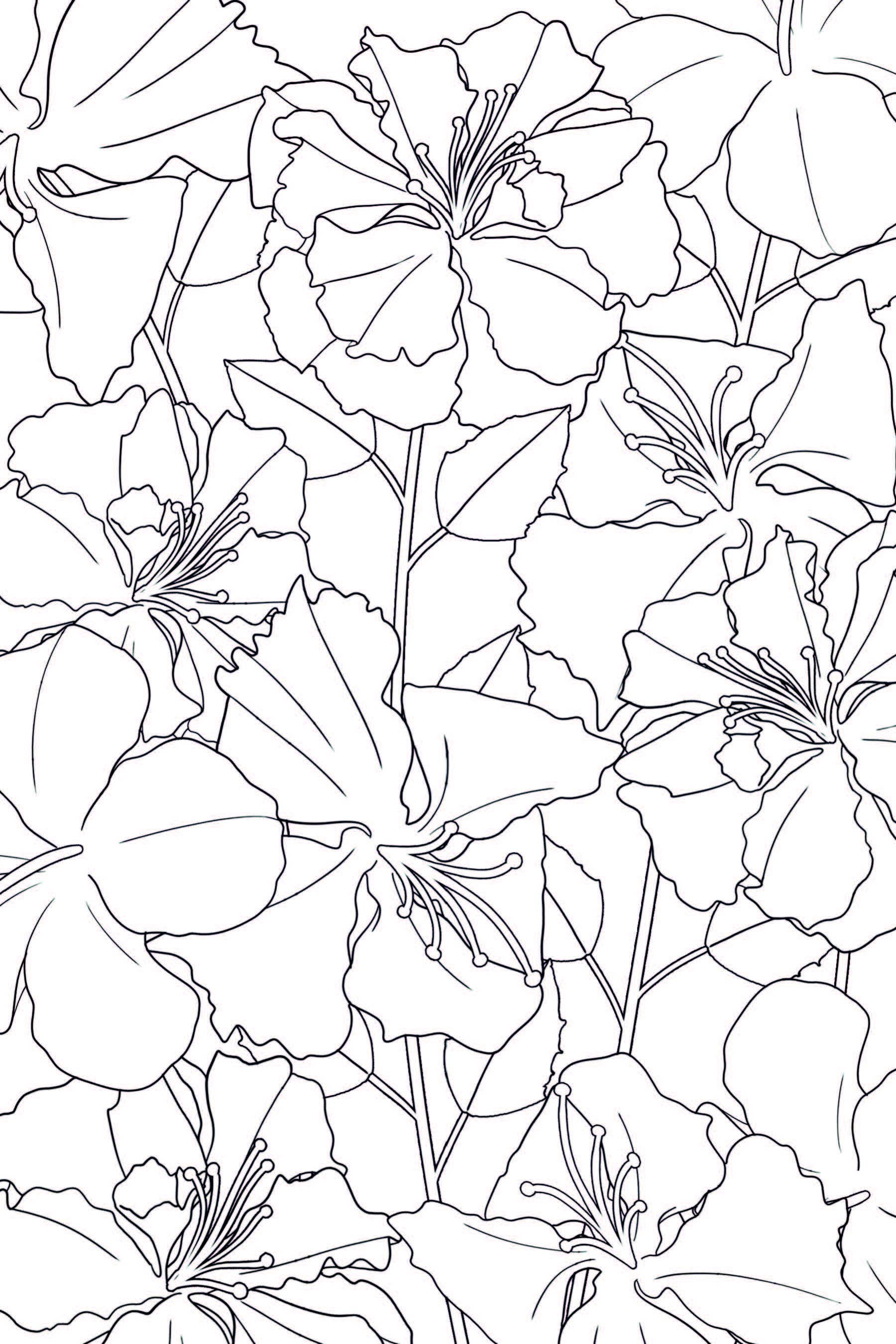 Aimfully Books - Wholesale Coloring & Activity Book - Adult - A Blooming Earth2